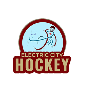 electriccityspecialneedshockey